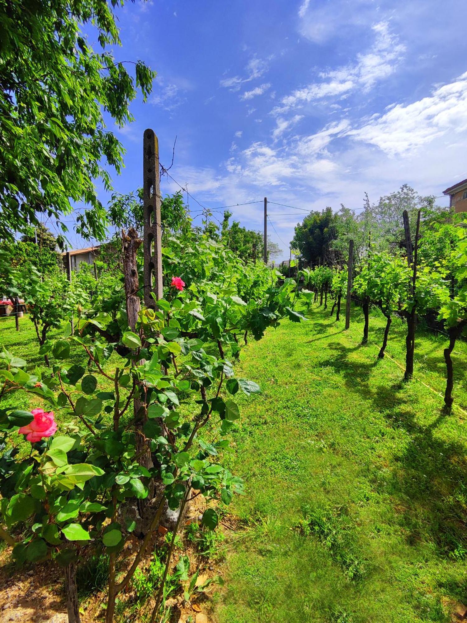 Bed and Breakfast Garda Relais Antica Romelia Монтикьяри Экстерьер фото