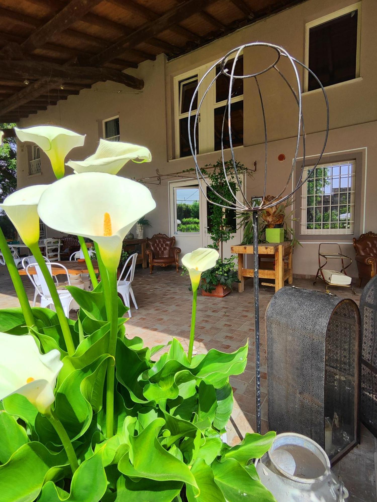 Bed and Breakfast Garda Relais Antica Romelia Монтикьяри Экстерьер фото